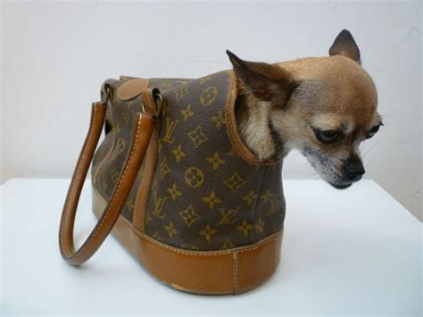 chihuahua louis vuitton|louis vuitton dog accessories.